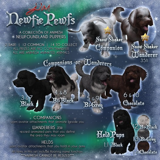 JIAN Newfie Pewfs 1. Snow Shaker Companion BOX RARE