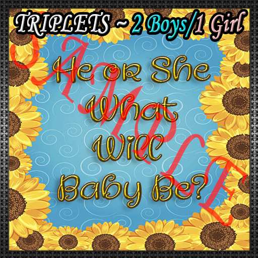 {SSD} SUNFLOWERS!~!Gender Reveal (TRIPLETS)