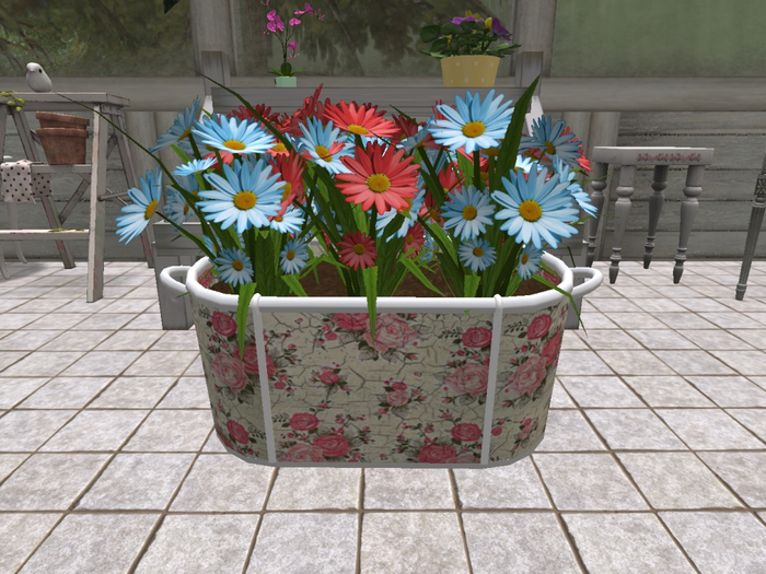 Red and Blue Daisies