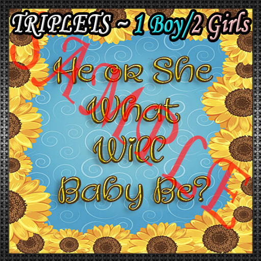 {SSD} SUNFLOWERS~!~Gender Reveal (TRIPLETS)