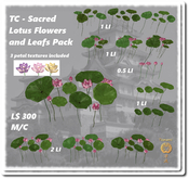Sacred Lotus Flowers and Leafs Pack