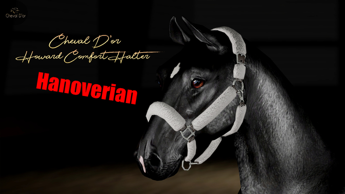 Cheval D'or / TeeglePet Hanoverian / Howard Comfort Halter.