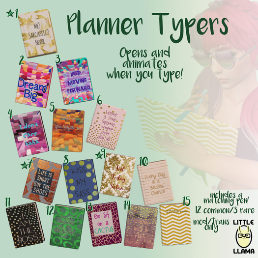 Little Llama - Planner Typer #10