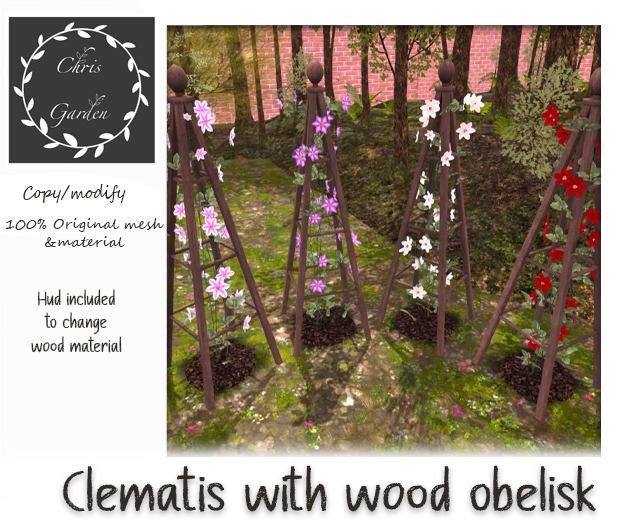 Climbing Clematis on wood obelisk
