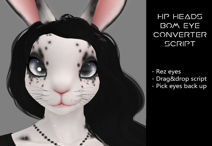 HP Head Eyes BoM converter