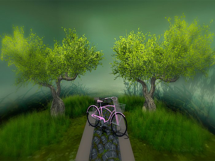 My Bike