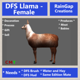 DFS Llama - Female (0 Days Old)