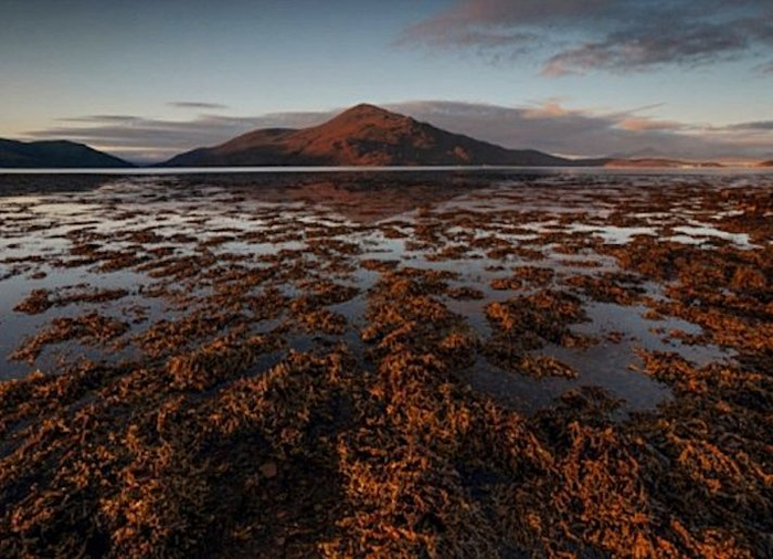 scottish shore