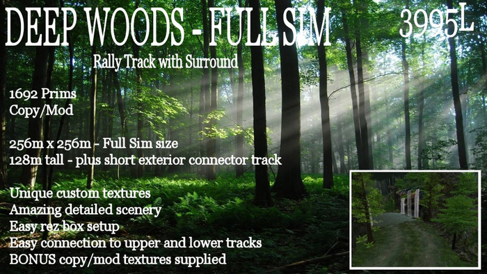 Deep Woods Rally Track
