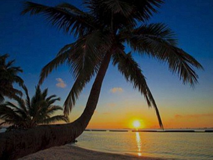 tropical sunset