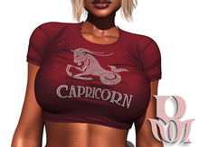 Rosary. Signs . Capricorn