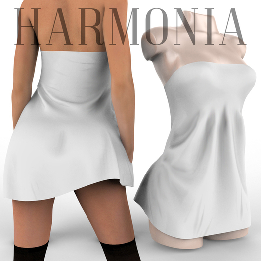 Original Mesh Dress