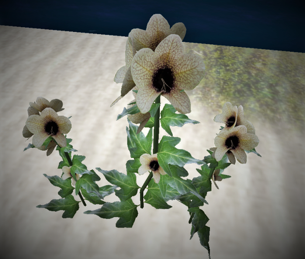 Hembane plant