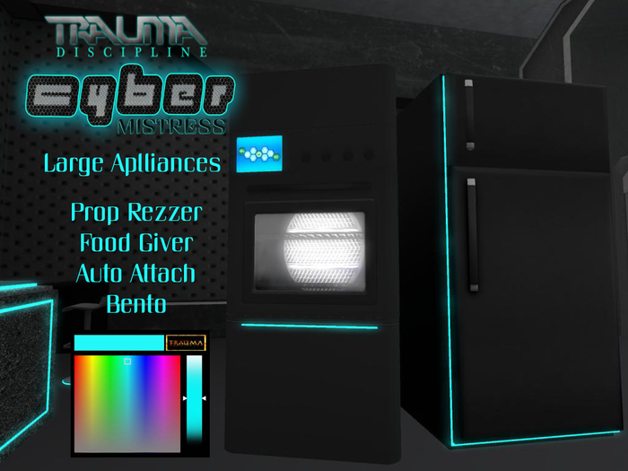 Cyber Mistress Large Appliances