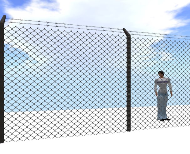Prison Fence