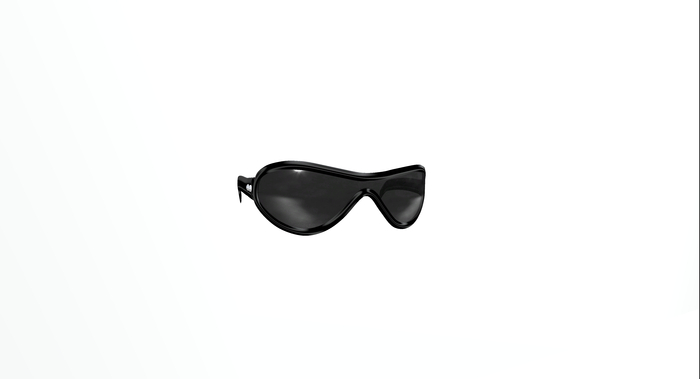 Sunglasses Shades 
