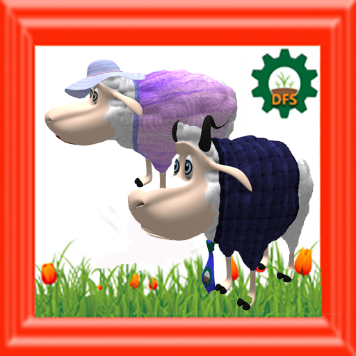 DFS Sheep - Female &  Male (Fathers Day 2020)