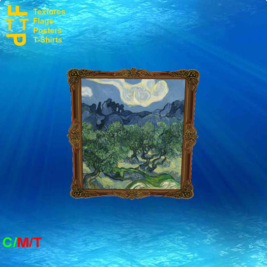 Framed art 21