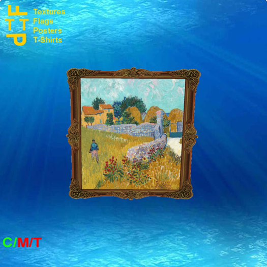 Framed art 29