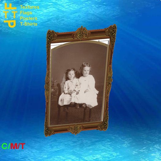 Victorian Portraits 11