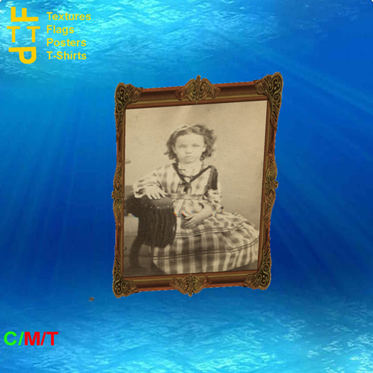 Victorian Portraits 27