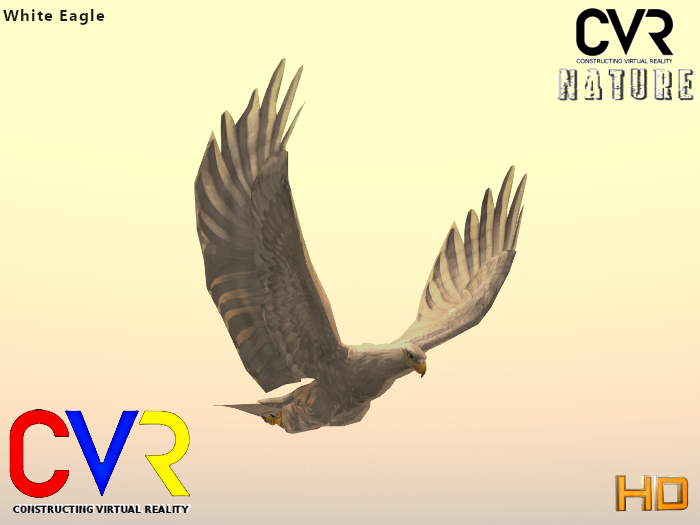 CVR Eagle box