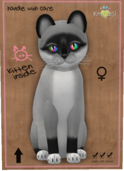 Second Life Marketplace - KittyCatS Box - New Born Kitten Foxie - Salt