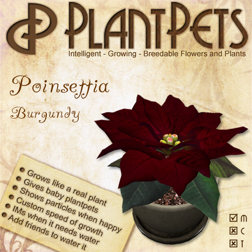 PlantPet Seed [Poinsettia *Burgundy*] Updated