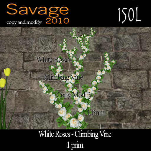 White Roses - Climbing Vine