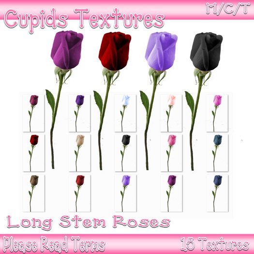 15 Long Stem Roses Textures
