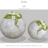 Dahlia - Sia - Sphere Moss Planters