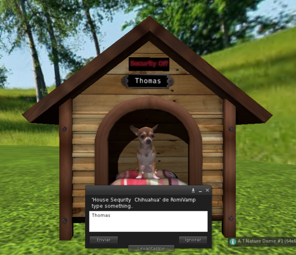 House Sequrity  Chihuahua