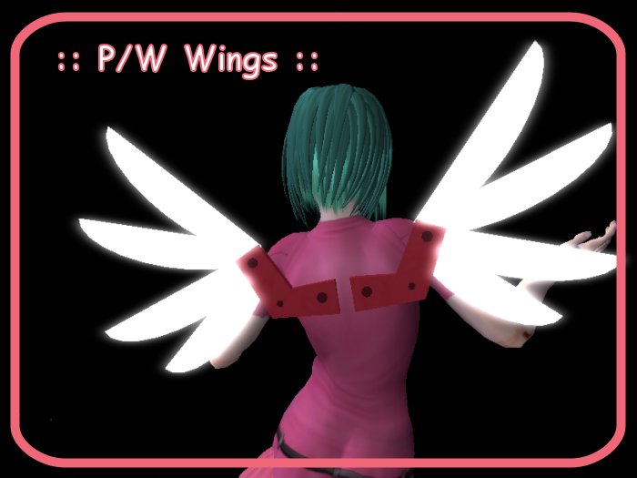 P/W Wings