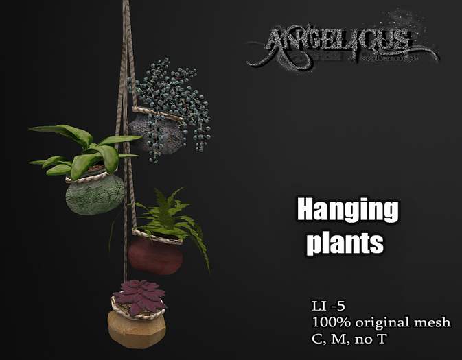::ANGELICUS:: hanging plants