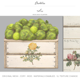 Dahlia - Sia - Moss Box Planter