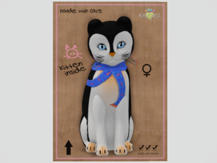 2021 LOVE pEngUinS! - TOY Blue Gill Girl F 