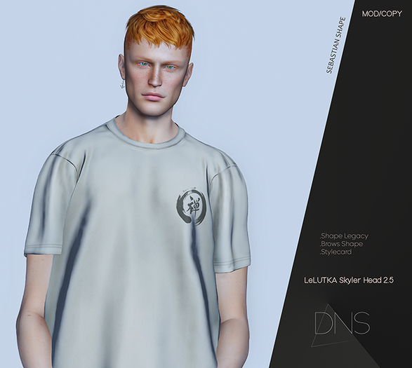 DNS - Sebastian Shape & Style card Lelutka SKYLER 2.5 [Legacy]
