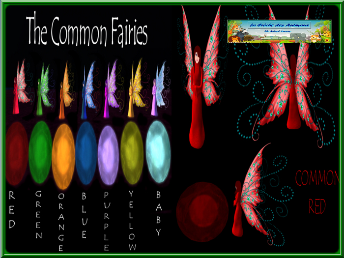WW_ 7 Egg Common Fairy 5.0.0
