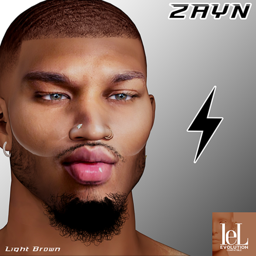 DASH - Zayn Skin - Light Brown Tone