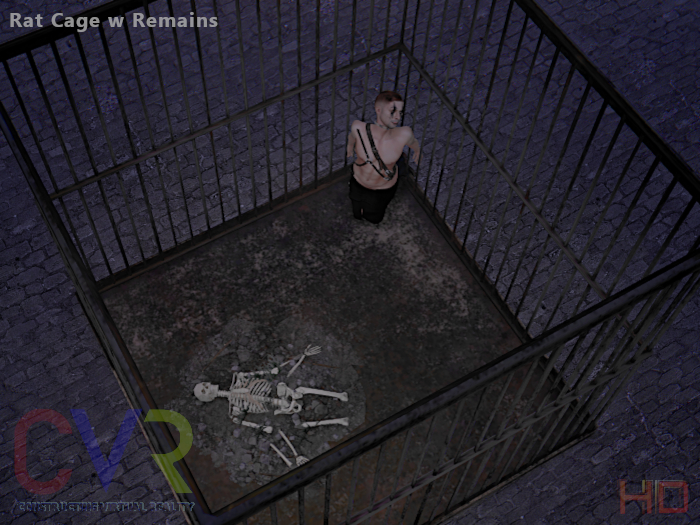 CVR Rat Cage w remains box