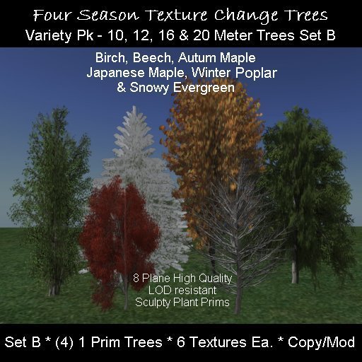 Quatre Saisons Texture Changement Arbres Variété Pk A Réglé B