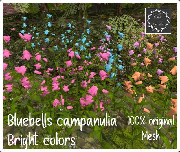C*Bluebells Bright colors