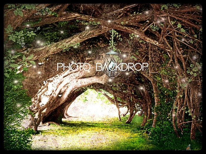 [AE] Photo Backdrop - Enchanted Forest 11