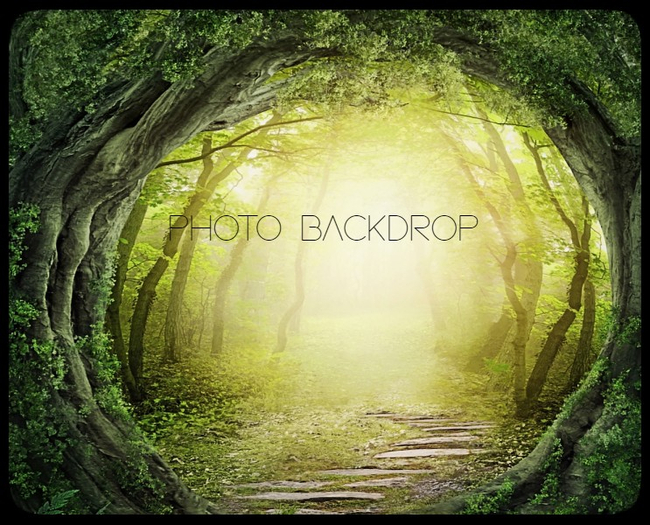 [AE] Photo Backdrop - Enchanted Forest 10 SALE