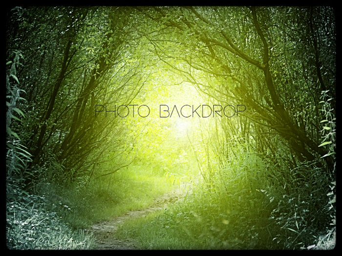 [AE] Photo Backdrop - Enchanted Forest 17 SALE