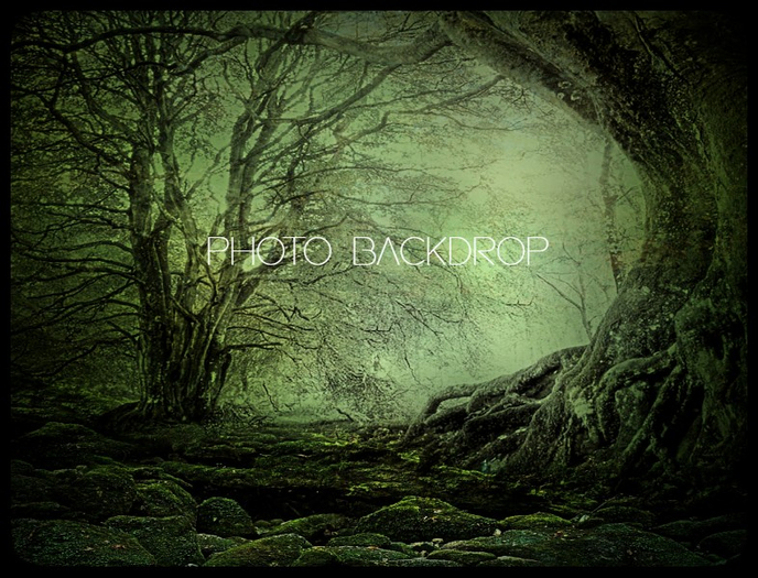[AE] Photo Backdrop - Enchanted Forest 16 SALE
