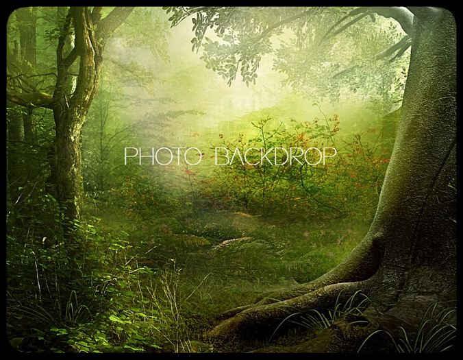 [AE] Photo Backdrop - Enchanted Forest 15