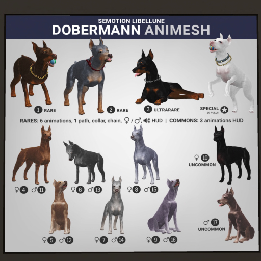SEmotion Libellune Dobermann Animesh #2 RARE