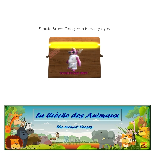 oYo Bundle - Female Brown Teddy