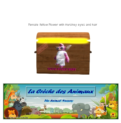 oYo Bundle - Female Yellow Flower